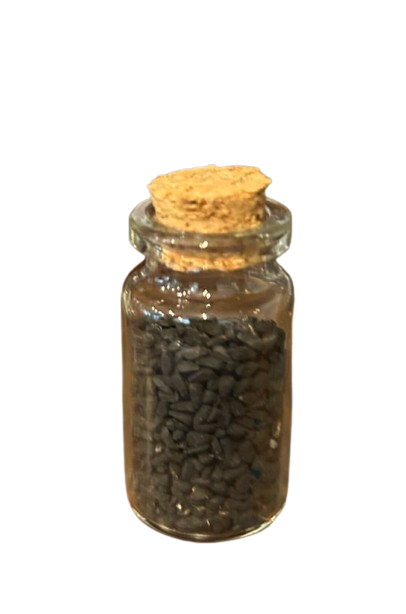 Kulinji (Black Seeds) 10g Glass Jar